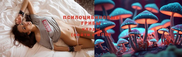 гидра Михайлов