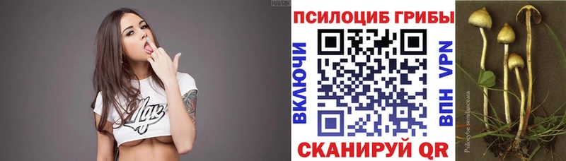 Псилоцибиновые грибы мицелий  Купить  Краснослободск 